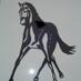 SH Reiter und Pferd (@shreiterpferd) Twitter profile photo SH Reiter und Pferd (@shreiterpferd) Twitter profile photo
