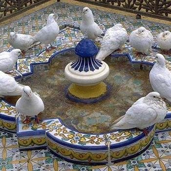 jorballrot's profile picture. 