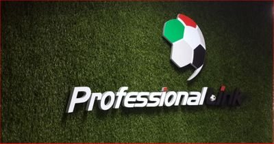 professionalink Sport and Marketing Consultancies