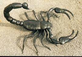 ania3073's profile picture. wredna,złośliwa,wredna🖤