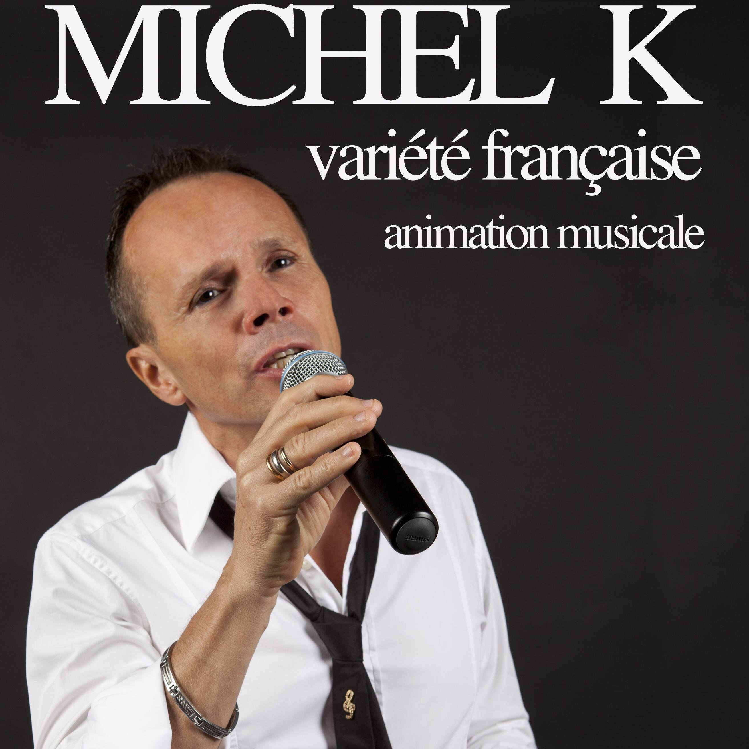 Auteur interprète de chansons françaises