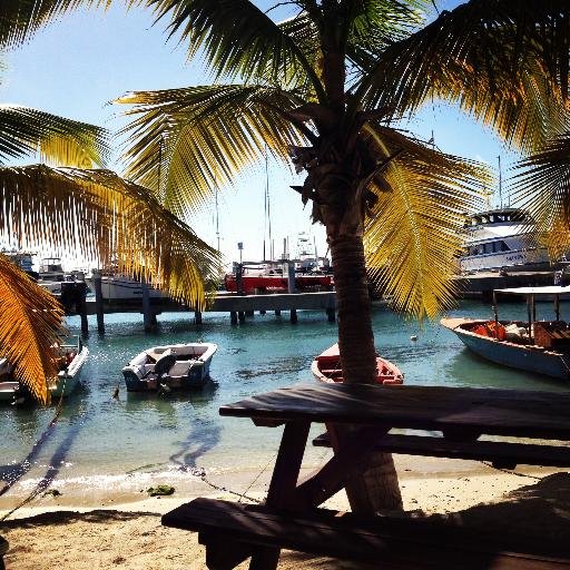 kanea_7's profile picture. Fuck all borders and fuck all boundaries Fuck all flags and fuck nationalities