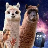mrzadr0t Profile Picture