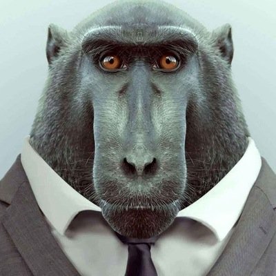 joshjamesmac11's profile picture. 