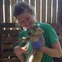 Suzanne Bailey - @suzebaileyvet - Twitter