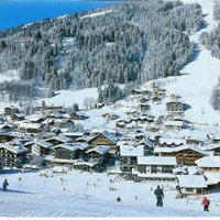 Aleks (@alekse125) 's Twitter Profile Photo