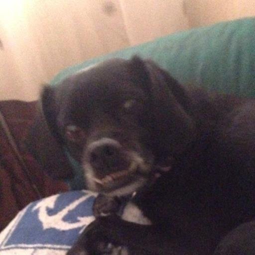 vanessahc3's profile picture. 