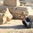 Zenobia_CSSS's profile image