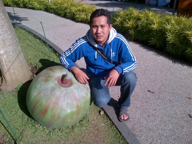 Butuh kerja sampingan..