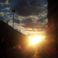 Isabelle Lange (@islange) 's Twitter Profile