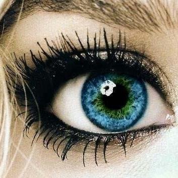 _Lisa_Grant_'s profile picture. 