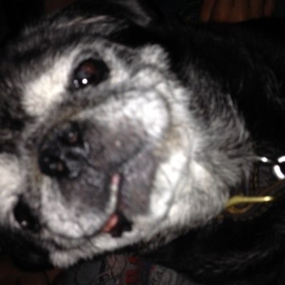 JakeJstout's profile picture. 