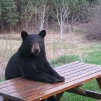 Rick (@rick00979) 's Twitter Profile