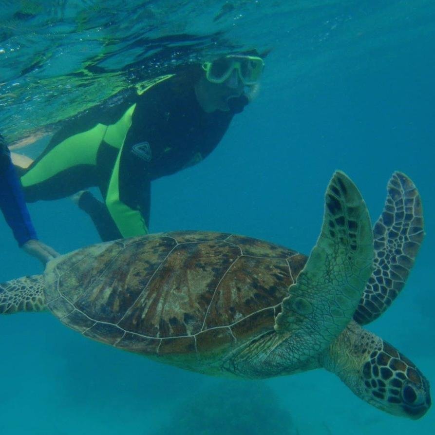 annestrange's profile picture. Mother, allied healthcare professional, certified pilates instructor,dog owner, dogsbody not necessarily in that order