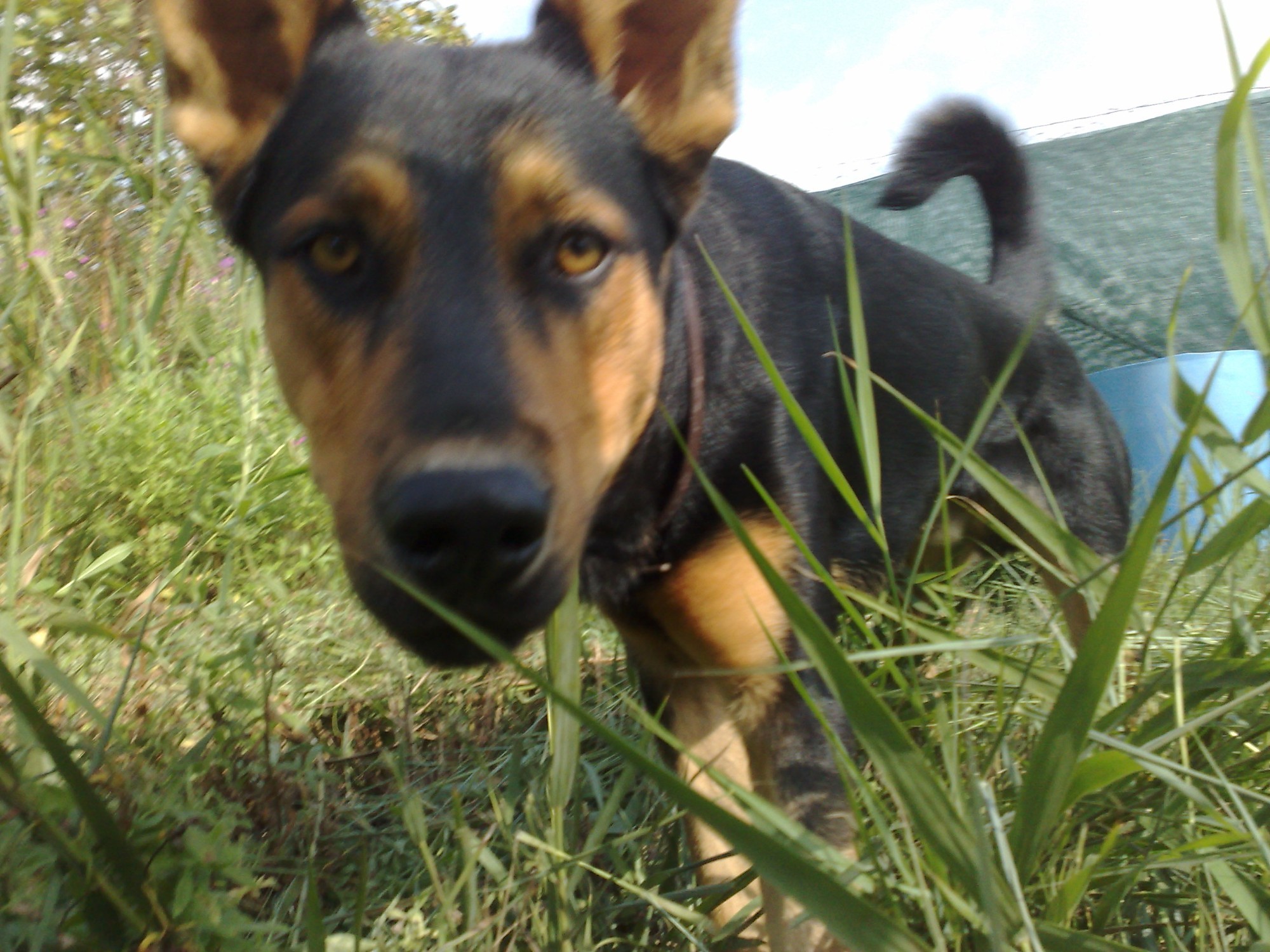 reddotparasitos's profile picture. 