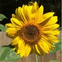 Karen Bickers - @karen_bickers - Twitter