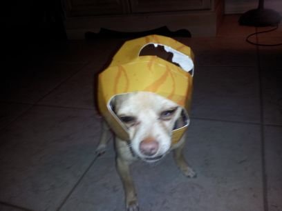 19046145848's profile picture. 