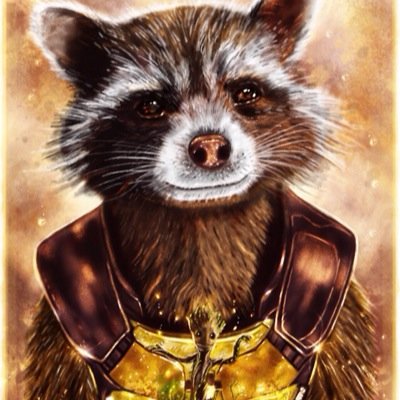 BadassRacoon Profile Picture