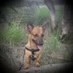 patricia de rooij (@rooij_patricia) Twitter profile photo