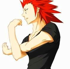 Mi nombre es Axel, y soy el pelirrojo de la Organización XIII. Tengo poderes de fuego y como arma uso chakrams. ¿Lo captas?