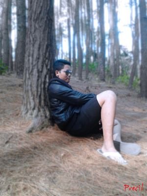 sukses harga mati