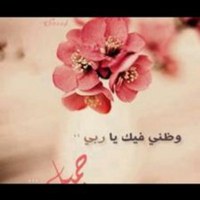 وطني فيك ياربي جميل