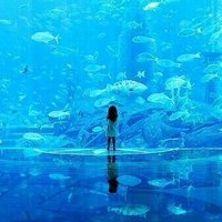 あぐう (@agoo03) 's Twitter Profile Photo