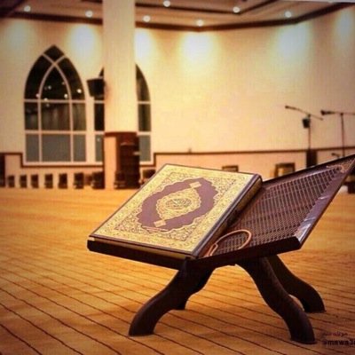 rosenbaz2014's profile picture. 