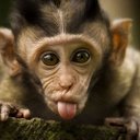 Wayne Clinton - @wayneclinton77 - Twitter