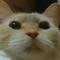 mimico ☆すみません!低浮上💦 (@mimico725) 's Twitter Profile