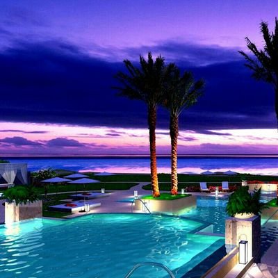 NullCarla's profile picture. 