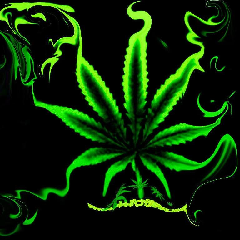 zak_doherty's profile picture. 