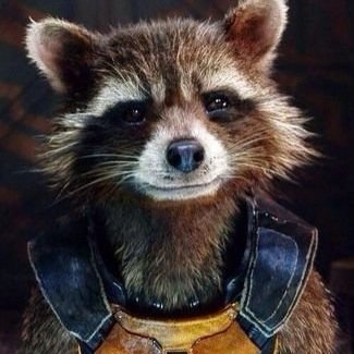 Hey, Rocket here. currently work with the Guardians|| Yeah i'm a talking raccoon... 
Caring for my amazing girlfriend @WiseAppleBottom