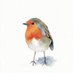 Robin Philip (@redrobinct) Twitter profile photo Robin Philip (@redrobinct) Twitter profile photo