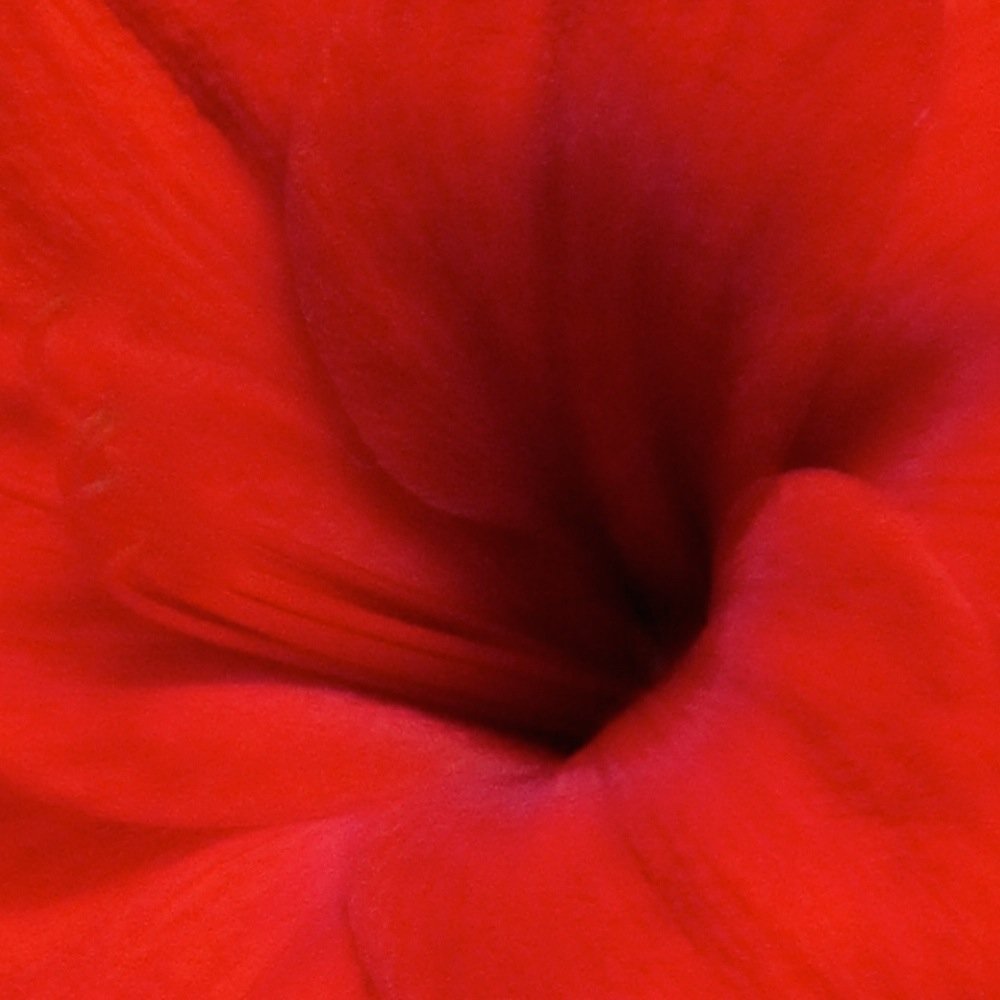 LauraStatley's profile picture. Doodler/Procrastinator