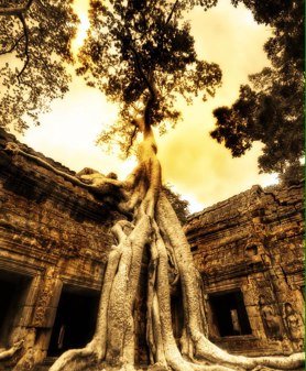 al_angievale's profile picture. 