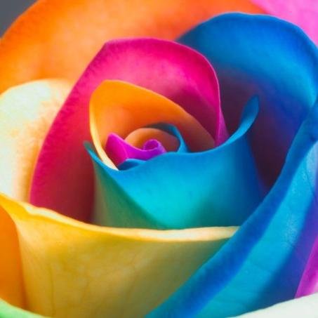 cvety_penza's profile picture. Цветы Пенза доставка.
Салон Цветов Радуга
Пенза ул. Циолковского, дом 19
тел.: +7 (8412) 92-81-37,
8-905-367-32-71