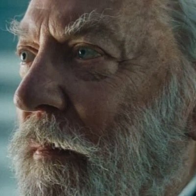 everdeenletit's profile picture. @RegalMockingjay