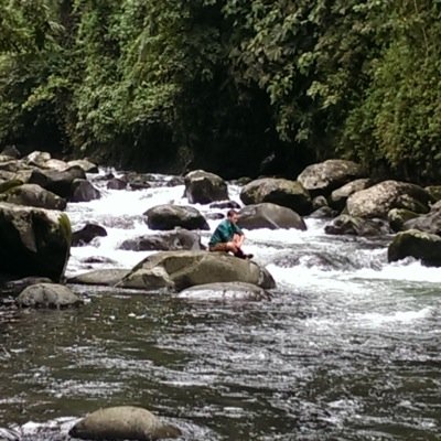 StealthyPanda17's profile picture. being socially abused cents 2002