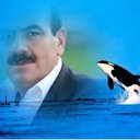 Mevlüt Polat (@63Mevlut) Twitter