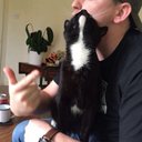 Leo devlin - @leo_devlin - Twitter