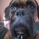 jeff stonehouse - @jeffstonehouse2 - Twitter