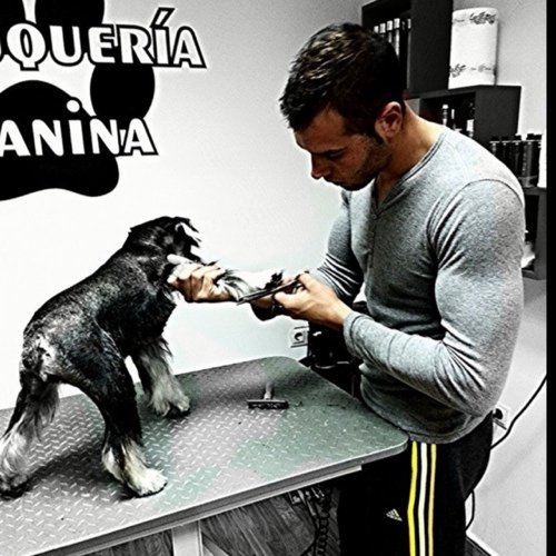 NoName28388211's profile picture. Mal hablado y liguista a muerte.