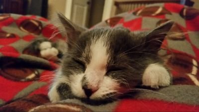 danarh24's profile picture. 