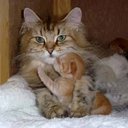 lillie walters - @lillie_walters - Twitter