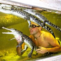 James Hennessy (@jamesreptilezoo) 's Twitter Profile Photo James Hennessy (@jamesreptilezoo) 's Twitter Profile Photo