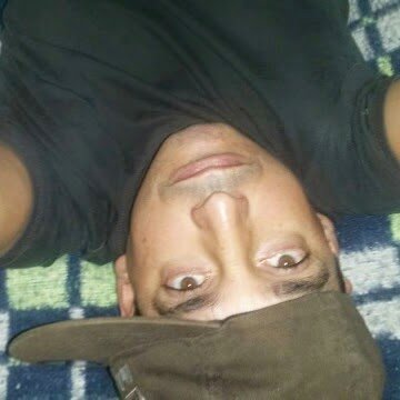 whatsApp: email: fynand@gmail.com
