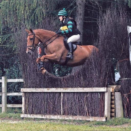 rebeccalhart's profile picture. Full time night vet and amateur event rider.