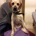 Sandra Muro - @sandravan87 - Twitter