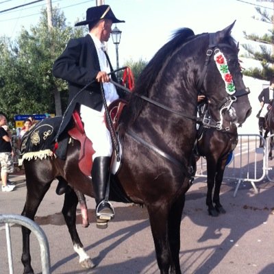 sambad75's profile picture. 